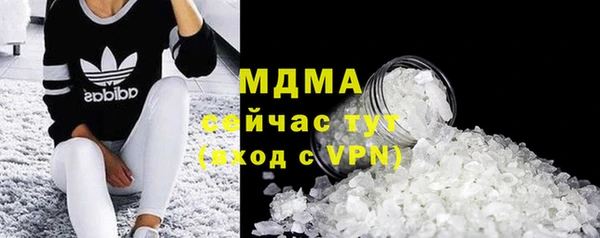 прущие грибы Богородицк