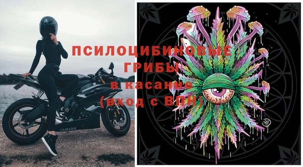 кокаин Белокуриха