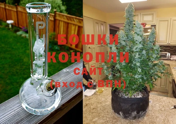 кокаин Белокуриха