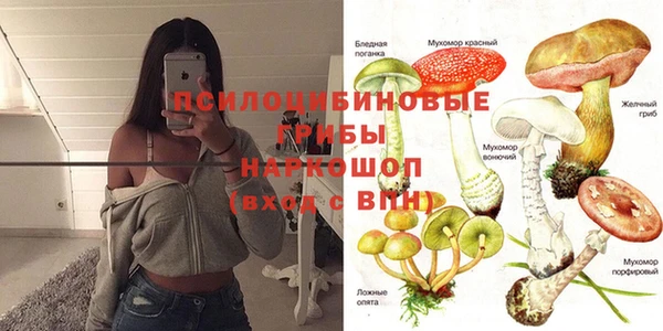 спиды Богданович