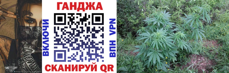 Каннабис MAZAR  Пионерский 